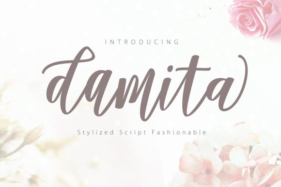 Damita Script: The Modern Script Font for Creative Professionals