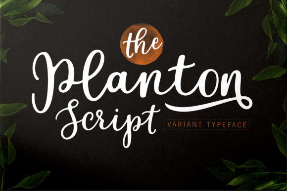 Planton Script: A Hand-Lettered Font for Authentic Projects