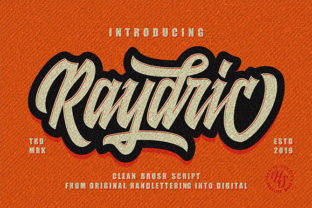 Raydric Script: Your New Favorite Handwritten Font with Shadow