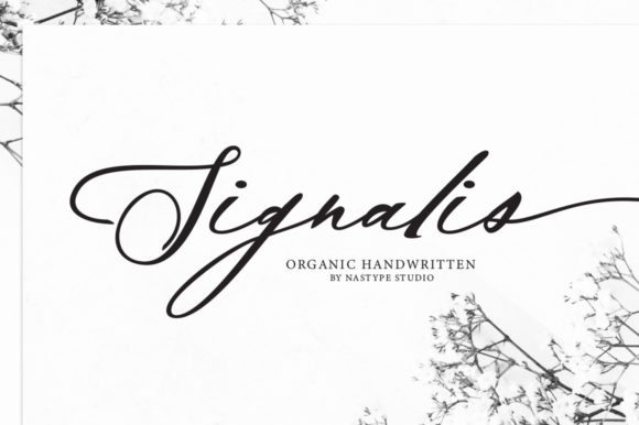 Signalis Script: A Modern Typeface for Elegant Projects
